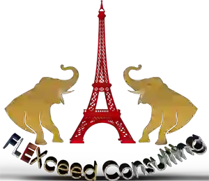 Logo version mobile