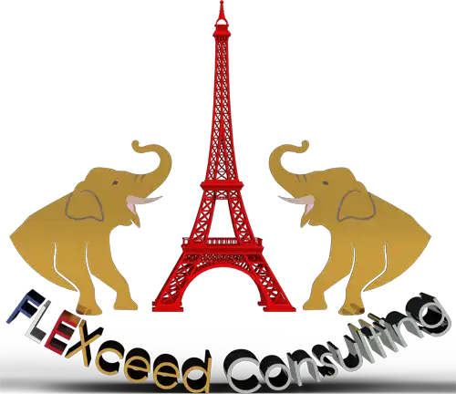 Logo FLExceed-Consulting